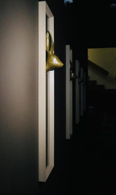 Casa Coelho Guesthouse コインブラ エクステリア 写真